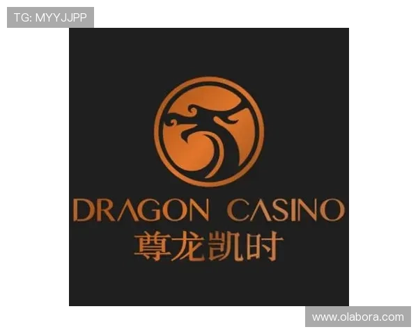 尊龙app官网支持多平台登录，轻松畅玩各种热门网络游戏体验