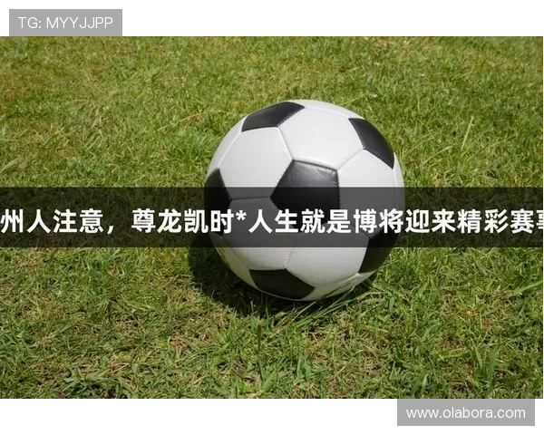 尊龙人生就是博：结合游戏策略理解人生中的风险管理与机会把握