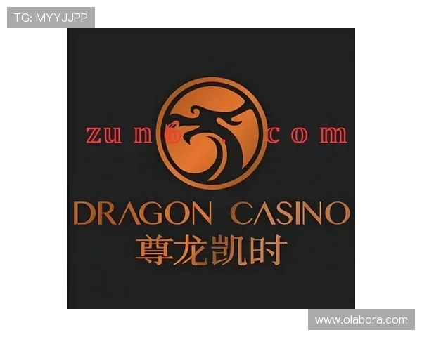 凯时尊龙网站常见问题解答帮助玩家快速解决登录与充值中的各种疑难
